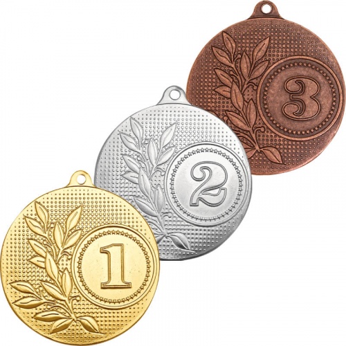 Комплект медалей Вилга 1,2,3 место